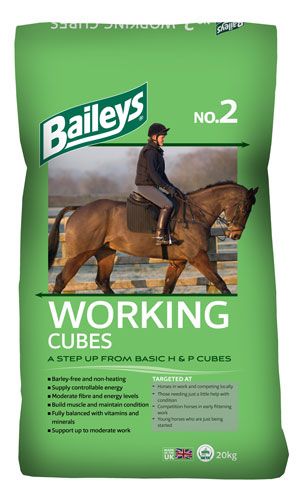 Baileys No. 2 Working Cubes